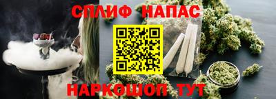 apvp Гусиноозёрск