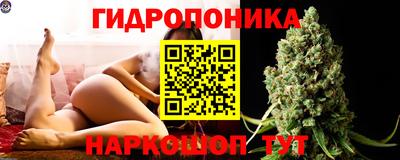 PSILOCYBIN Донской