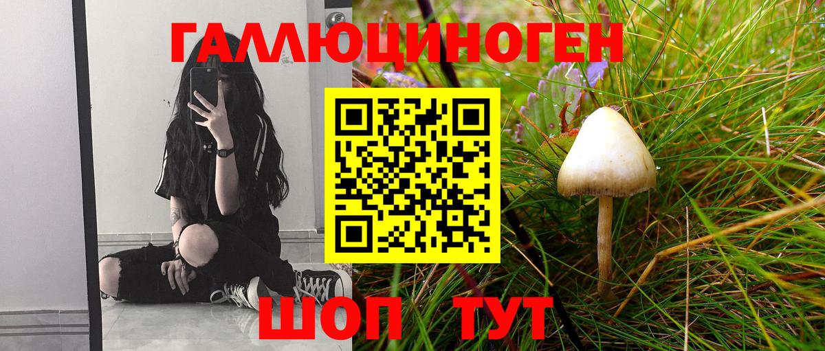 Галлюциногенные грибы MAGIC MUSHROOMS  Вход с VPN  Новоалтайск  наркота  Галлюциногенные грибы MAGIC MUSHROOMS 